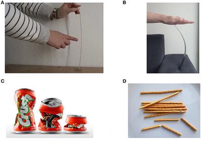 Multimodality and English for Special Purposes: Signification and Transduction in Architecture and Civil Engineering Models